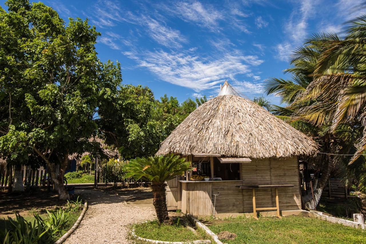 Hotel Punta Palmeras Necoclí Exterior foto